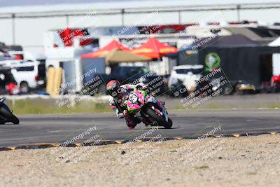 media/Apr-07-2024-CVMA (Sun) [[53b4d90ad0]]/Race 4 Supersport Open/